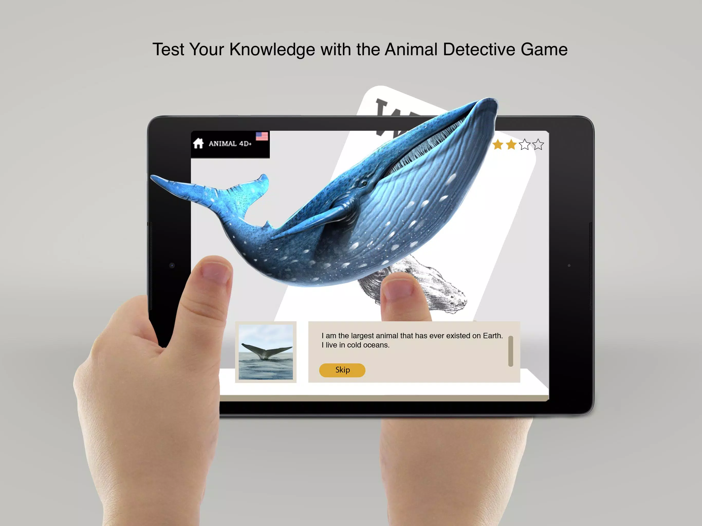 Tải xuống APK Animal 4D+ cho Android Tải xuống APK Animal 4D+ cho Android