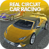 The Real Circuit Car Racing APK