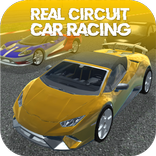 The Real Circuit Car Racing