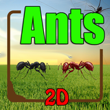 Ants 2D - Lead Your Colony to Victory