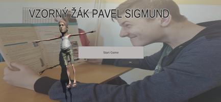 Pavel Maze poster