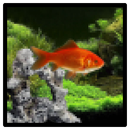 Funky FishTank APK