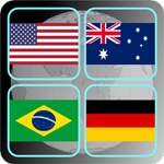Flags icon