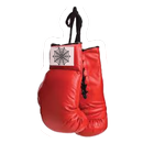 MAST SpiderXise APK