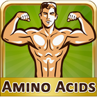 Top Amino Acid rich Diet Foods Zeichen