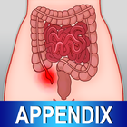 Appendix Diet Foods Help Tips icône