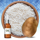 Carbohydrate Rich Food sources aplikacja