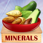 Minerals & Antioxidants Foods icône