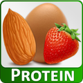 ”High Protein Diet Sources Food