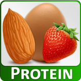 High Protein Diet Sources Food-icoon