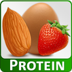 High Protein Diet Sources Food