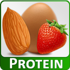 High Protein Diet Sources Food ícone