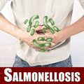 Salmonellosis Food Poisoning and Infection Help