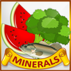 Minerals & Antioxidants Foods Diet sources Guide APK