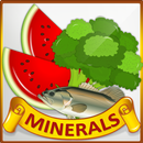 Minerals & Antioxidants Foods Diet sources Guide APK