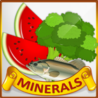 Minerals & Antioxidants Foods Diet sources Guide icon