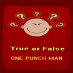 One Punch True False