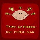 One Punch True False icon