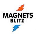 Magnets Blitz - Physics Puzzle