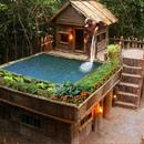 APK Jungle Survival