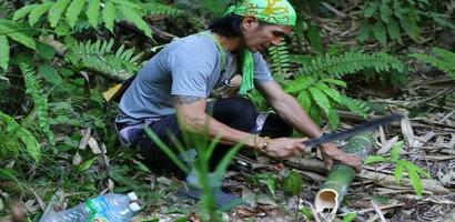 Jungle Survival screenshot 1