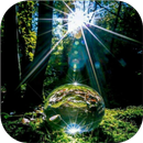 APK Nature 4k & HD Wallpapers