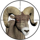 Sniper Hunting - 3D Shooter APK