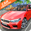 Car Simulator M5