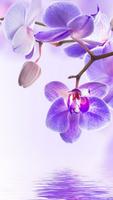 Papier peint fleur d'orchidée capture d'écran 1
