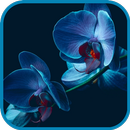 Orchid Wallpaper APK