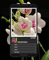 orchid cultivation screenshot 3