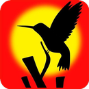 Orange Wallpapers APK