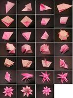 Didacticiel de fleur d'origami capture d'écran 1