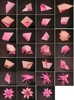 Origami Blumen-Tutorial Screenshot 1