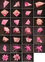 1 Schermata Tutorial di carta origami