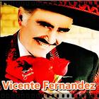 آیکون‌ Vicente Fernandez - Canciones
