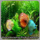 Ornamental Fish Culture APK