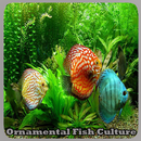 Cultura de peixes ornamentais APK