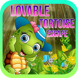 Lovable Tortoise Escape Game - A2Z Escape Game