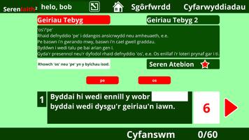 Poster Seren Iaith