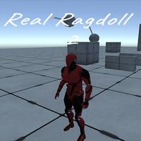 Real Ragdoll 2  -The Game poster