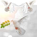 Oración Diaria y Reflexión APK