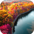 Autumn Wallpaper HD APK