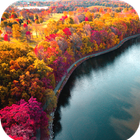 Autumn Wallpaper أيقونة