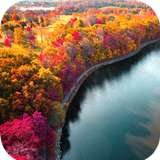 Autumn Wallpaper icono