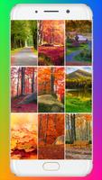 Autumn Wallpaper Plakat