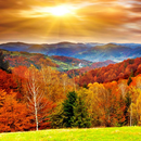 Autumn Live Wallpaper APK