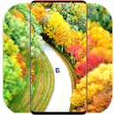 Autumn Wallpaper HD APK