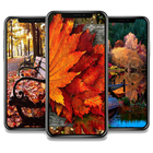 Autumn Landscape Wallpaper icône