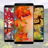 Autumn Wallpaper Ideas アイコン